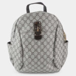 Stylish Backpack2