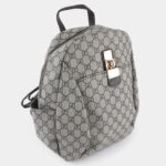 Stylish Backpack4