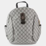 Stylish Backpack5